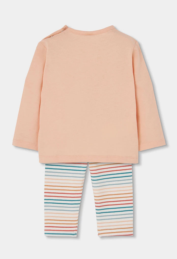 Conjunto Pantalón. Gatitos